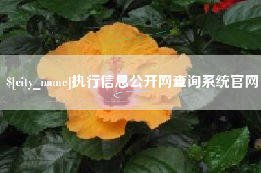 林芝执行信息公开网查询系统官网