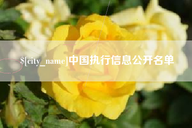 林芝中国执行信息公开名单