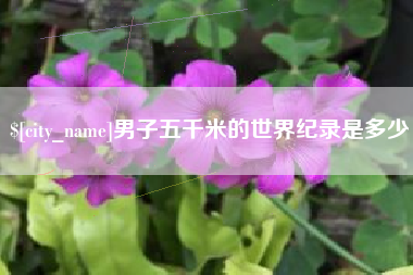 林芝男子五千米的世界纪录是多少