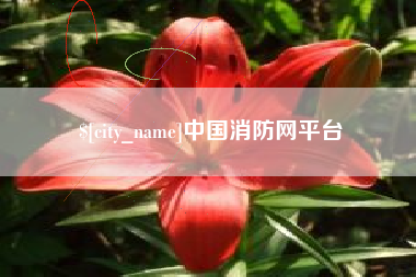 林芝中国消防网平台