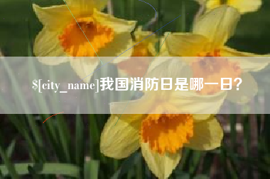林芝我国消防日是哪一日？