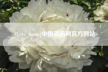 林芝中国消防网官方网站