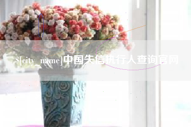 林芝中国失信执行人查询官网
