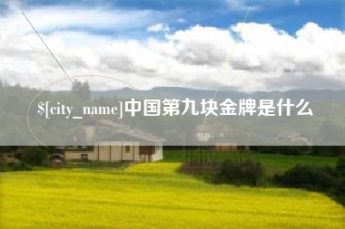 林芝中国第九块金牌是什么