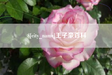 林芝王子豪百科