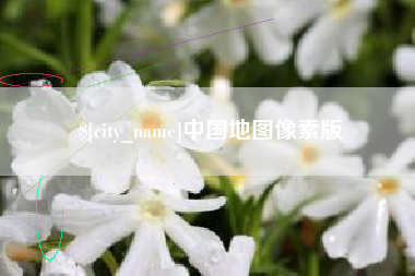 林芝中国地图像素版