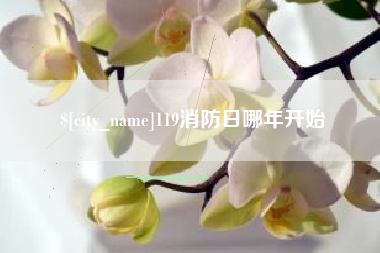 林芝119消防日哪年开始