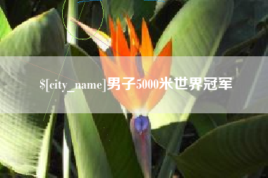 林芝男子5000米世界冠军