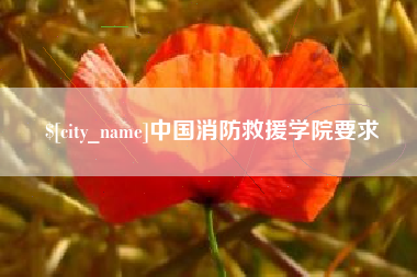 林芝中国消防救援学院要求