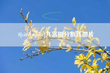 林芝九宫图分割线图片