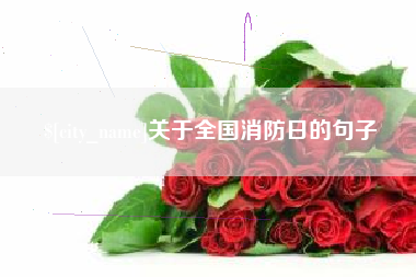 林芝关于全国消防日的句子