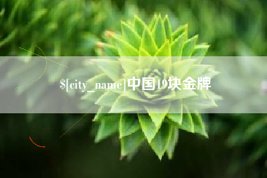 林芝中国19块金牌