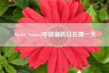 林芝中国消防日在哪一天