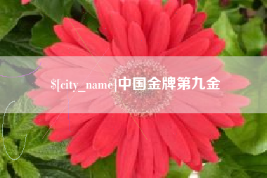 林芝中国金牌第九金