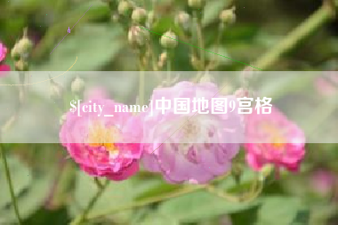 林芝中国地图9宫格