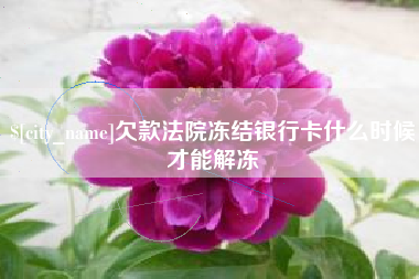 林芝欠款法院冻结银行卡什么时候才能解冻