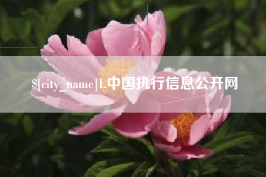 林芝1.中国执行信息公开网