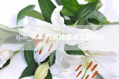 林芝九宫格盘点工具图片