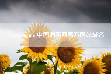 林芝中国消防网官方网站域名