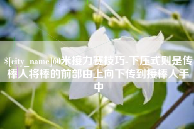 林芝60米接力赛技巧-下压式则是传棒人将棒的前部由上向下传到接棒人手中