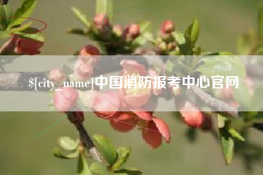 林芝中国消防报考中心官网