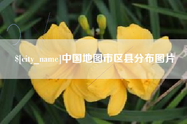 林芝中国地图市区县分布图片