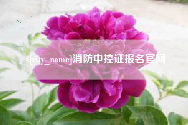 林芝消防中控证报名官网