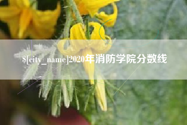 林芝2020年消防学院分数线