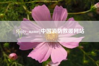 林芝中国消防救援网站