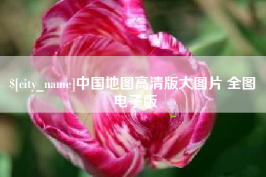 林芝中国地图高清版大图片 全图 电子版