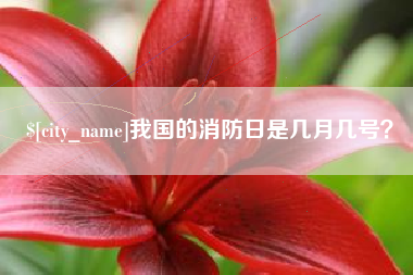 林芝我国的消防日是几月几号？
