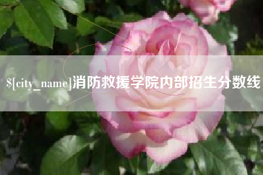 林芝消防救援学院内部招生分数线