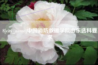林芝中国消防救援学院山东选科要求