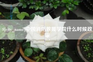 林芝中国消防救援学院什么时候政审