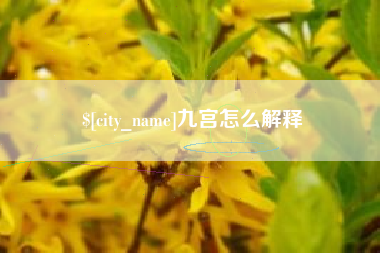 林芝九宫怎么解释