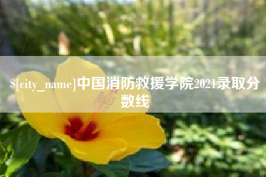 林芝中国消防救援学院2021录取分数线