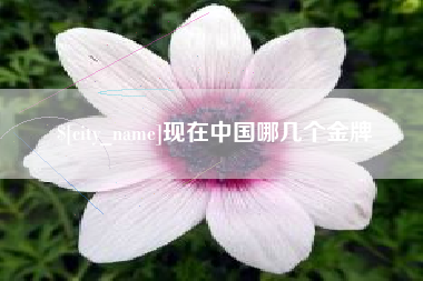 林芝现在中国哪几个金牌