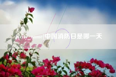 林芝中国消防日是哪一天
