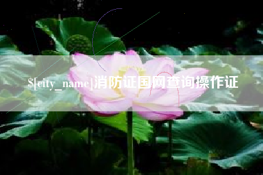 林芝消防证国网查询操作证