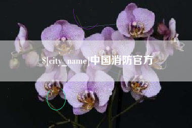 林芝中国消防官方