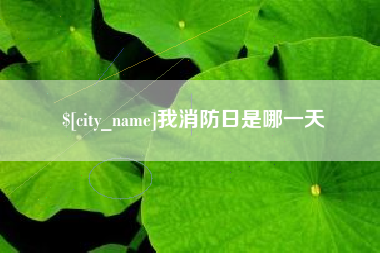 林芝我消防日是哪一天