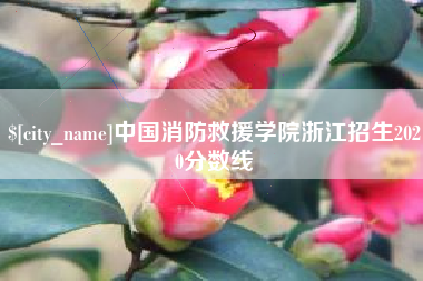 林芝中国消防救援学院浙江招生2020分数线