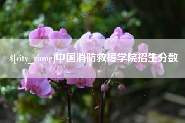林芝中国消防救援学院招生分数