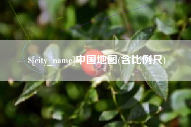林芝中国地图(含比例尺)