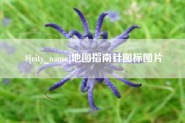 林芝地图指南针图标图片