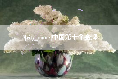 林芝中国第十个金牌