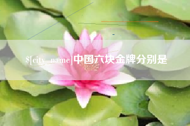 林芝中国六块金牌分别是