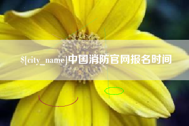 林芝中国消防官网报名时间