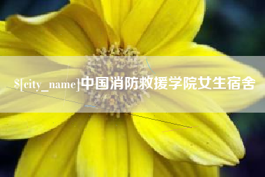 林芝中国消防救援学院女生宿舍