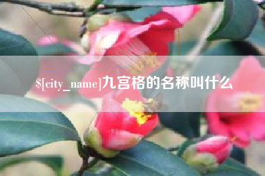 林芝九宫格的名称叫什么